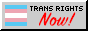 trans rights now! 88x31 button
