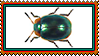 beetle stamp
